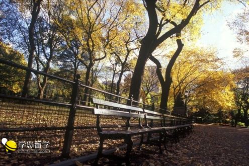 美国教育学硕士申请